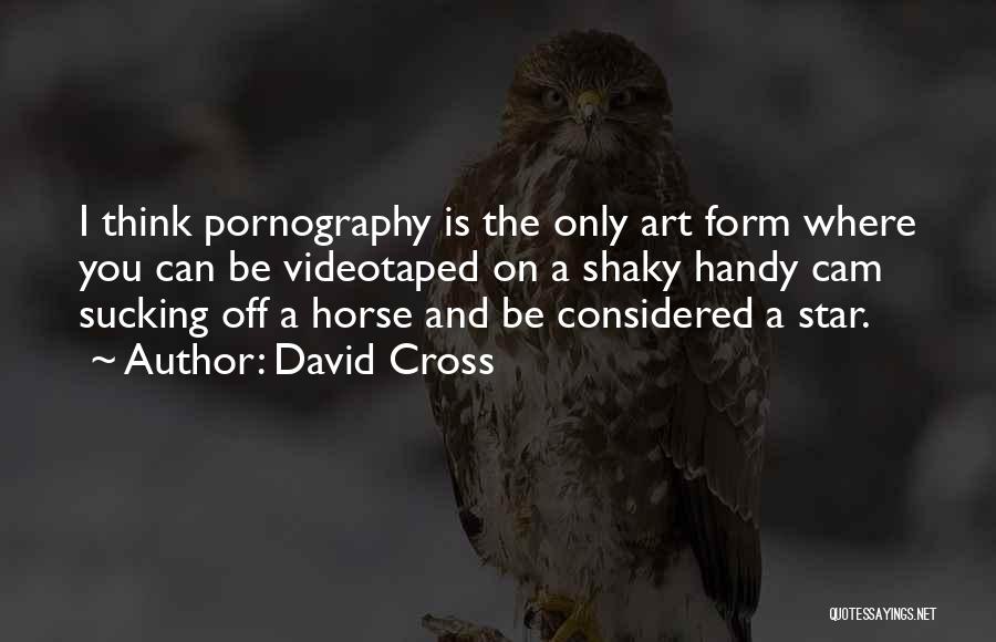 David Cross Quotes: I Think Pornography Is The Only Art Form Where You Can Be Videotaped On A Shaky Handy Cam Sucking Off