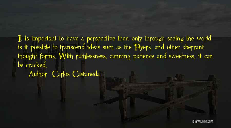 Carlos Castaneda Quotes: It Is Important To Have A Perspective Then Only Through Seeing The World Is It Possible To Transcend Ideas Such