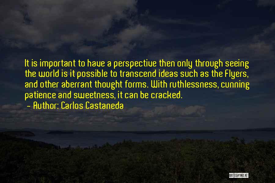 Carlos Castaneda Quotes: It Is Important To Have A Perspective Then Only Through Seeing The World Is It Possible To Transcend Ideas Such