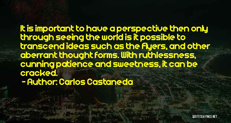 Carlos Castaneda Quotes: It Is Important To Have A Perspective Then Only Through Seeing The World Is It Possible To Transcend Ideas Such