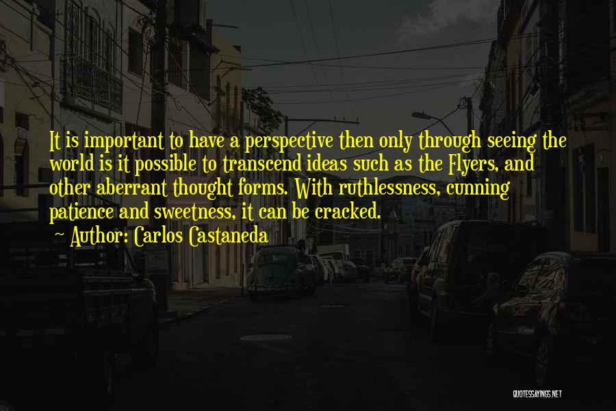 Carlos Castaneda Quotes: It Is Important To Have A Perspective Then Only Through Seeing The World Is It Possible To Transcend Ideas Such