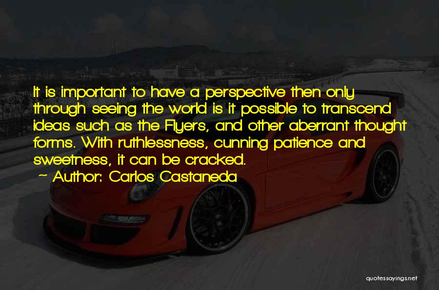 Carlos Castaneda Quotes: It Is Important To Have A Perspective Then Only Through Seeing The World Is It Possible To Transcend Ideas Such