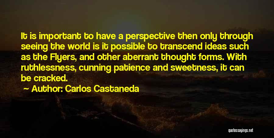 Carlos Castaneda Quotes: It Is Important To Have A Perspective Then Only Through Seeing The World Is It Possible To Transcend Ideas Such