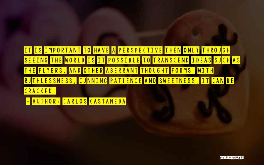 Carlos Castaneda Quotes: It Is Important To Have A Perspective Then Only Through Seeing The World Is It Possible To Transcend Ideas Such