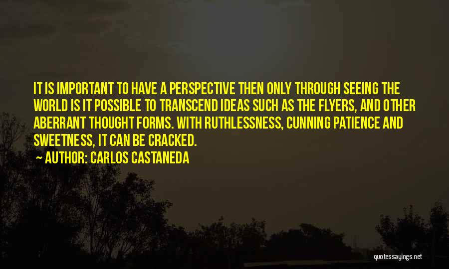 Carlos Castaneda Quotes: It Is Important To Have A Perspective Then Only Through Seeing The World Is It Possible To Transcend Ideas Such