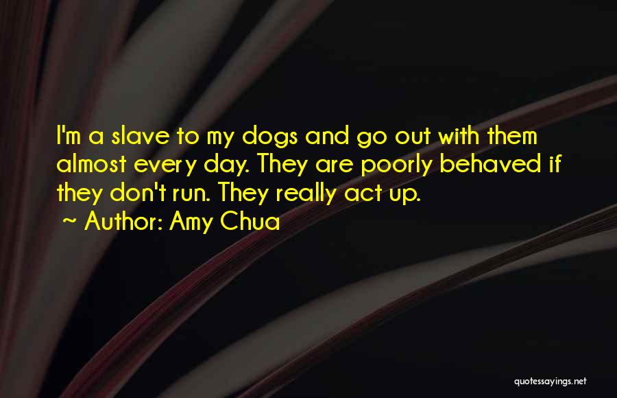 Amy Chua Quotes: I'm A Slave To My Dogs And Go Out With Them Almost Every Day. They Are Poorly Behaved If They