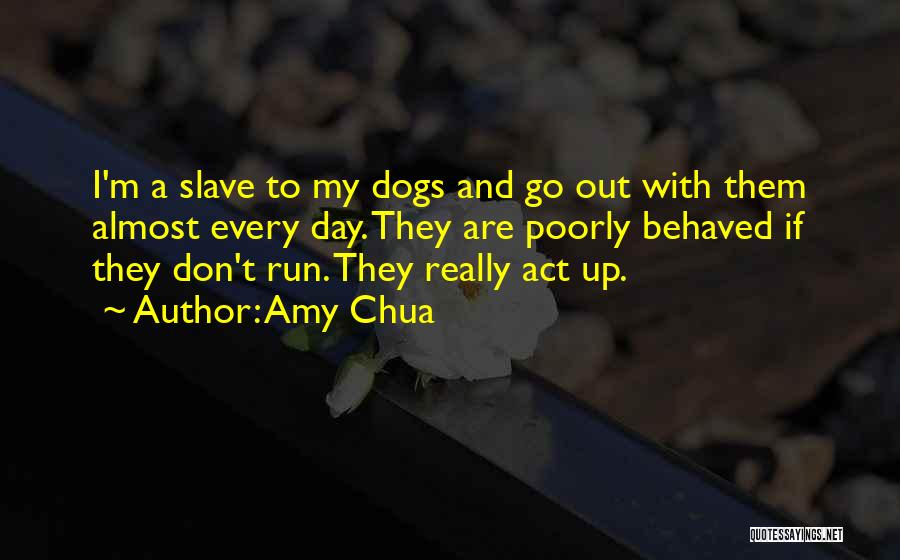 Amy Chua Quotes: I'm A Slave To My Dogs And Go Out With Them Almost Every Day. They Are Poorly Behaved If They