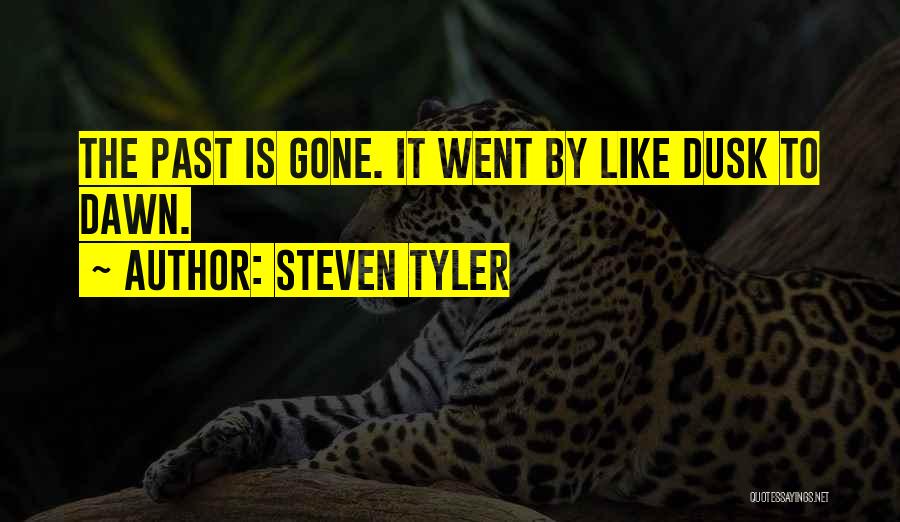 Steven Tyler Quotes: The Past Is Gone. It Went By Like Dusk To Dawn.