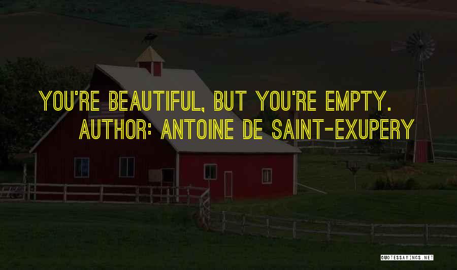 Antoine De Saint-Exupery Quotes: You're Beautiful, But You're Empty.