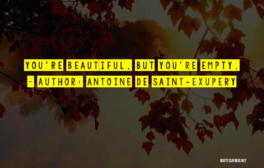 Antoine De Saint-Exupery Quotes: You're Beautiful, But You're Empty.