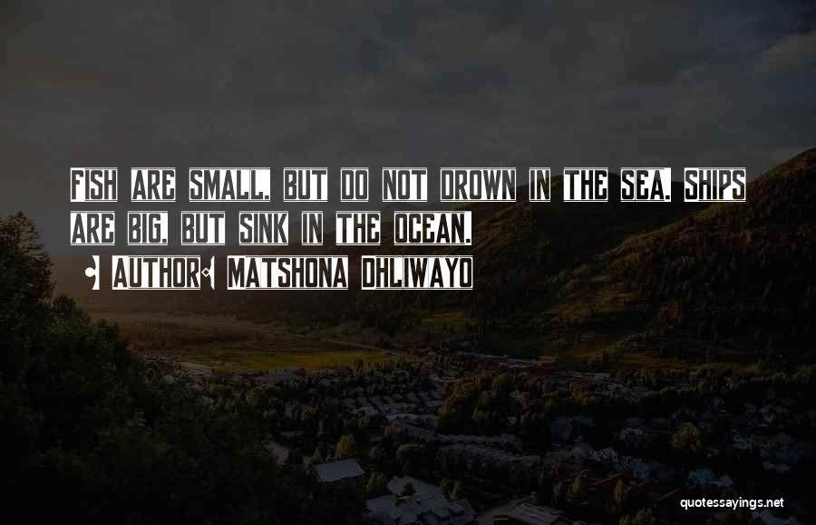 Matshona Dhliwayo Quotes: Fish Are Small, But Do Not Drown In The Sea. Ships Are Big, But Sink In The Ocean.