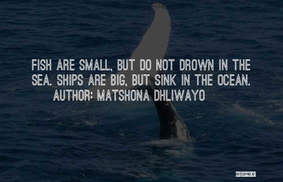 Matshona Dhliwayo Quotes: Fish Are Small, But Do Not Drown In The Sea. Ships Are Big, But Sink In The Ocean.