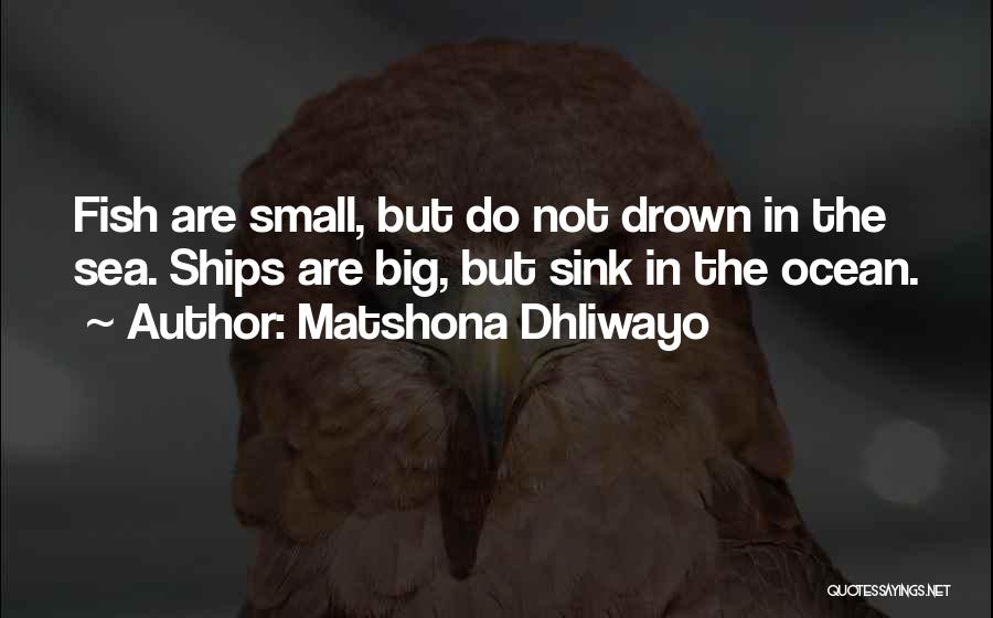 Matshona Dhliwayo Quotes: Fish Are Small, But Do Not Drown In The Sea. Ships Are Big, But Sink In The Ocean.