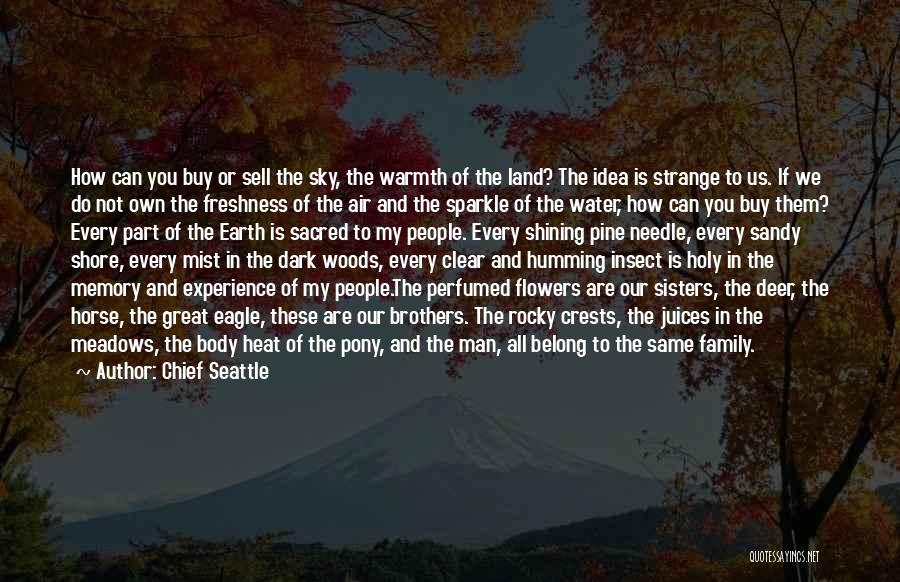 Chief Seattle Quotes: How Can You Buy Or Sell The Sky, The Warmth Of The Land? The Idea Is Strange To Us. If