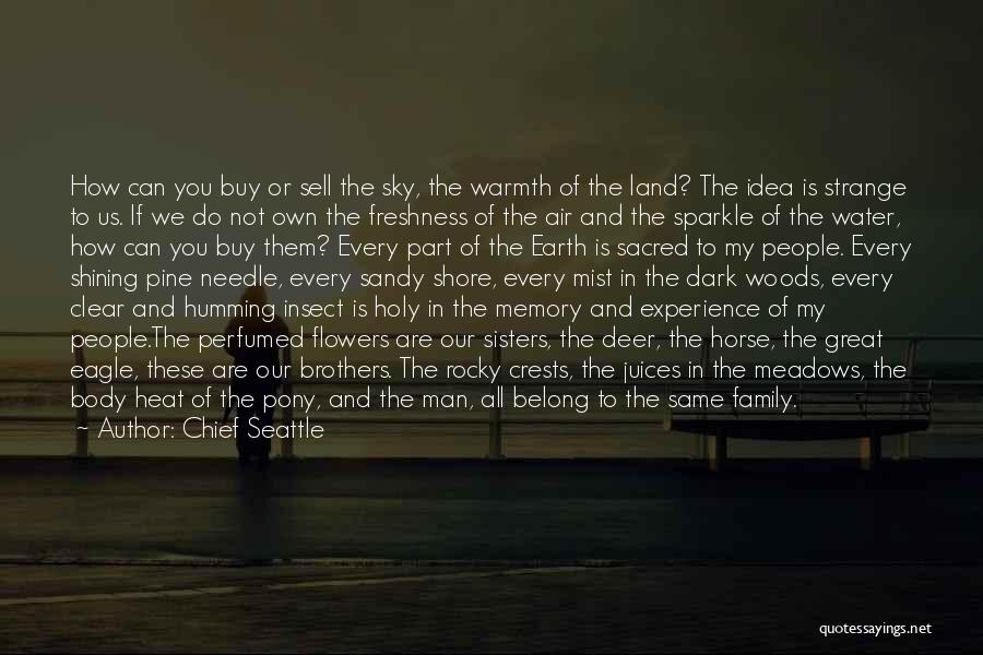 Chief Seattle Quotes: How Can You Buy Or Sell The Sky, The Warmth Of The Land? The Idea Is Strange To Us. If