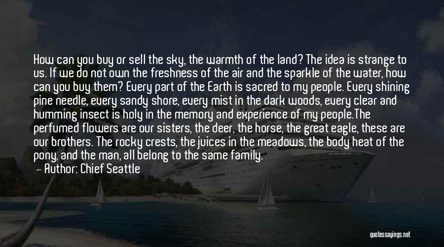 Chief Seattle Quotes: How Can You Buy Or Sell The Sky, The Warmth Of The Land? The Idea Is Strange To Us. If