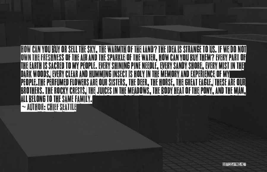 Chief Seattle Quotes: How Can You Buy Or Sell The Sky, The Warmth Of The Land? The Idea Is Strange To Us. If