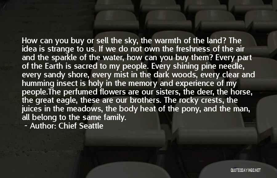 Chief Seattle Quotes: How Can You Buy Or Sell The Sky, The Warmth Of The Land? The Idea Is Strange To Us. If