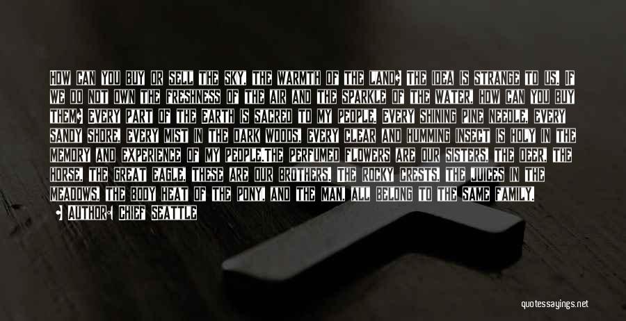 Chief Seattle Quotes: How Can You Buy Or Sell The Sky, The Warmth Of The Land? The Idea Is Strange To Us. If