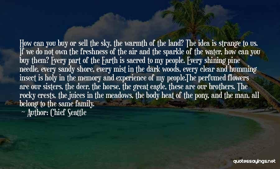 Chief Seattle Quotes: How Can You Buy Or Sell The Sky, The Warmth Of The Land? The Idea Is Strange To Us. If