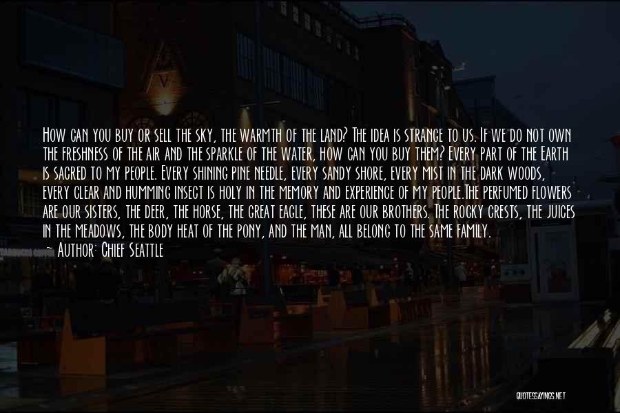 Chief Seattle Quotes: How Can You Buy Or Sell The Sky, The Warmth Of The Land? The Idea Is Strange To Us. If