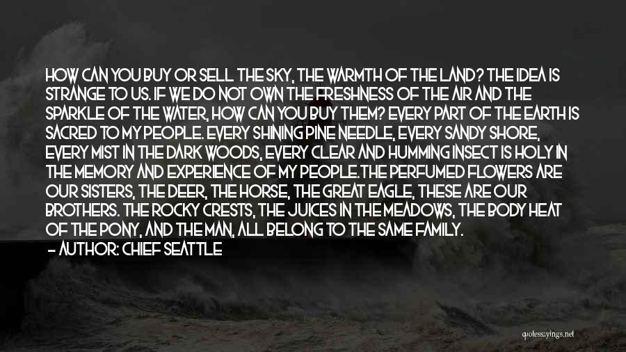 Chief Seattle Quotes: How Can You Buy Or Sell The Sky, The Warmth Of The Land? The Idea Is Strange To Us. If