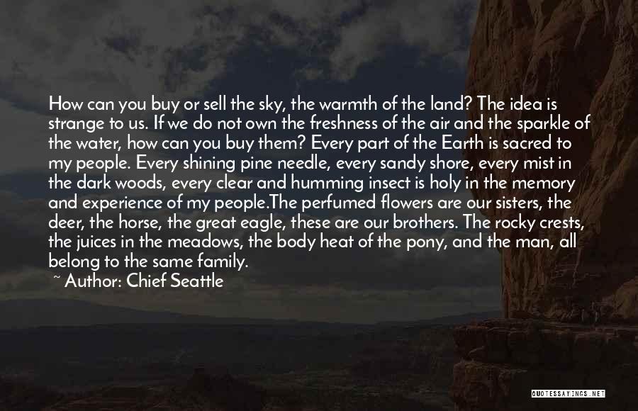 Chief Seattle Quotes: How Can You Buy Or Sell The Sky, The Warmth Of The Land? The Idea Is Strange To Us. If