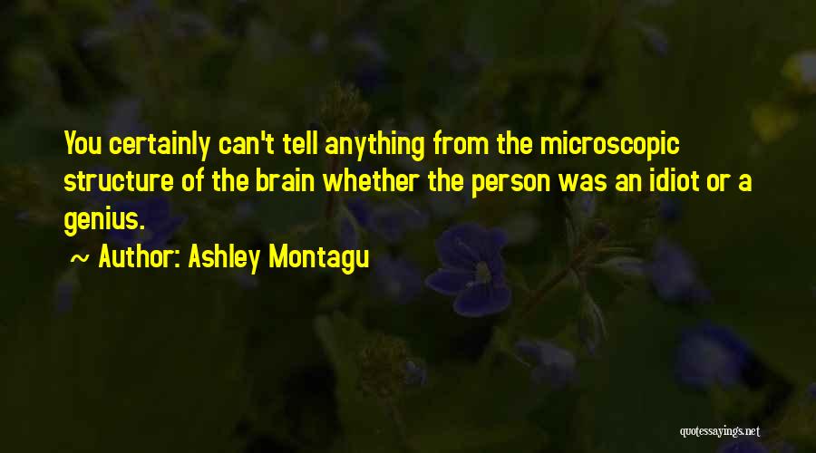 Ashley Montagu Quotes: You Certainly Can't Tell Anything From The Microscopic Structure Of The Brain Whether The Person Was An Idiot Or A
