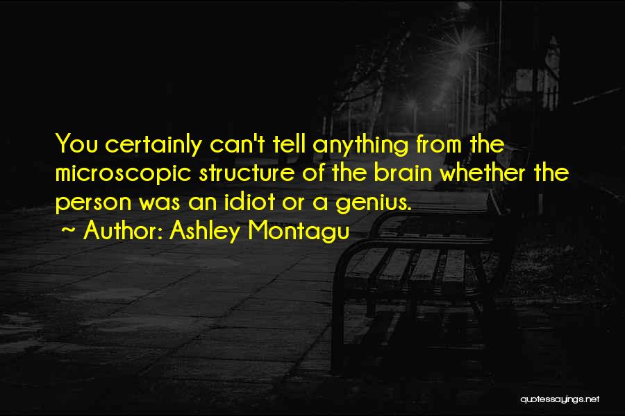 Ashley Montagu Quotes: You Certainly Can't Tell Anything From The Microscopic Structure Of The Brain Whether The Person Was An Idiot Or A