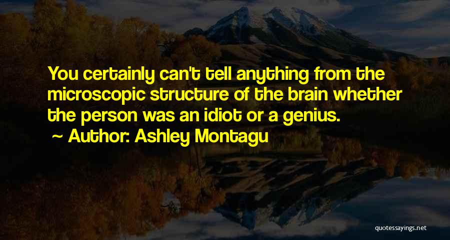 Ashley Montagu Quotes: You Certainly Can't Tell Anything From The Microscopic Structure Of The Brain Whether The Person Was An Idiot Or A