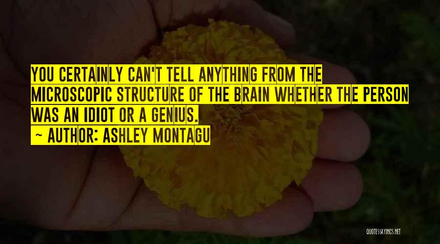 Ashley Montagu Quotes: You Certainly Can't Tell Anything From The Microscopic Structure Of The Brain Whether The Person Was An Idiot Or A