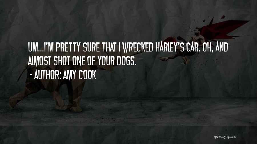 Amy Cook Quotes: Um...i'm Pretty Sure That I Wrecked Harley's Car. Oh, And Almost Shot One Of Your Dogs.