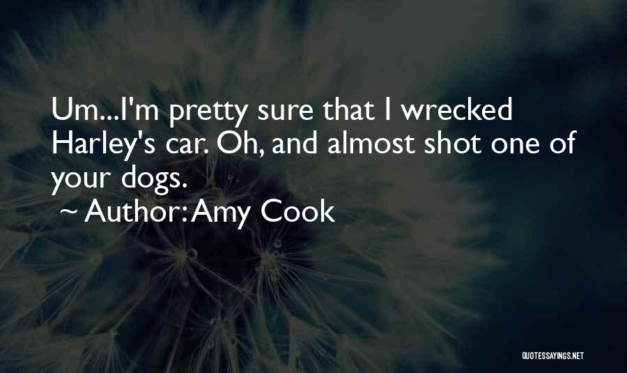 Amy Cook Quotes: Um...i'm Pretty Sure That I Wrecked Harley's Car. Oh, And Almost Shot One Of Your Dogs.