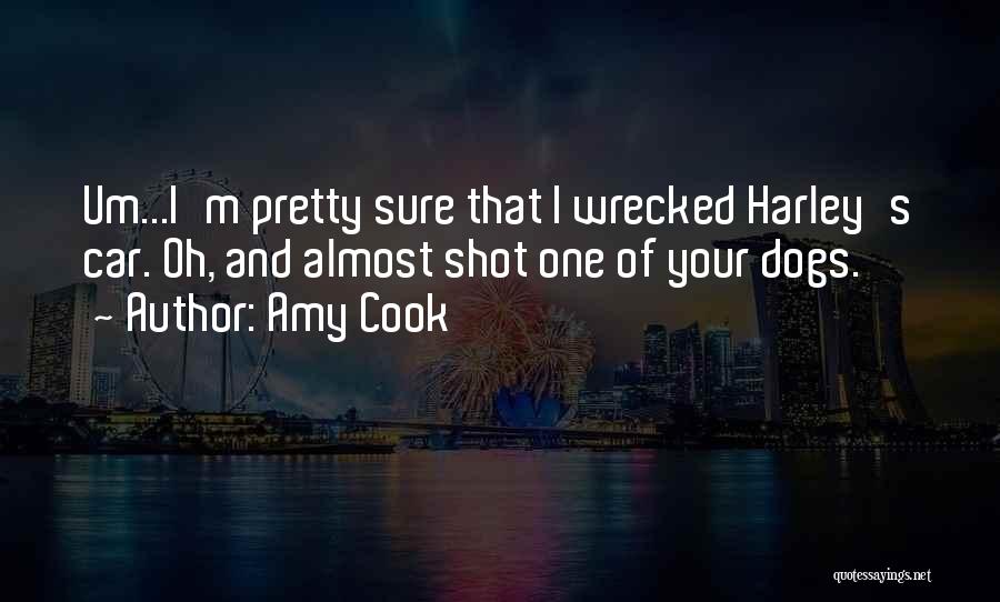 Amy Cook Quotes: Um...i'm Pretty Sure That I Wrecked Harley's Car. Oh, And Almost Shot One Of Your Dogs.