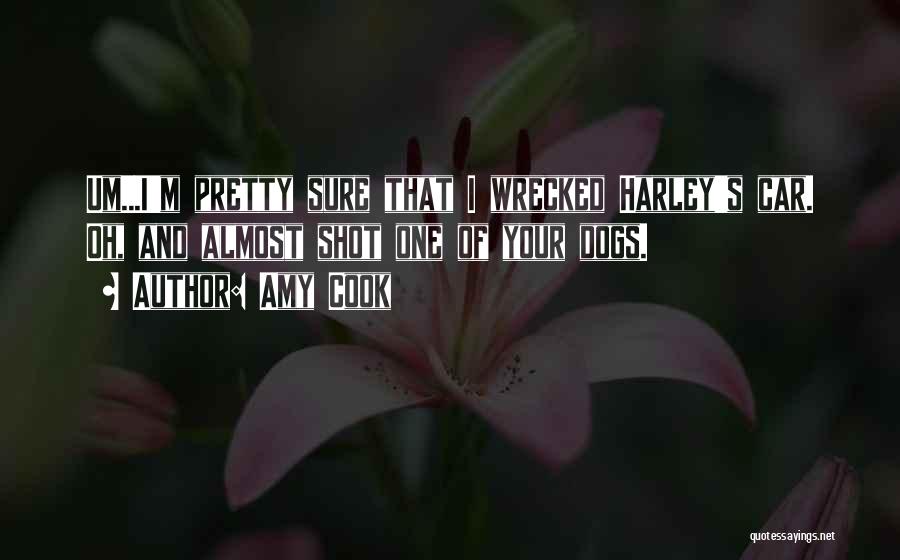 Amy Cook Quotes: Um...i'm Pretty Sure That I Wrecked Harley's Car. Oh, And Almost Shot One Of Your Dogs.