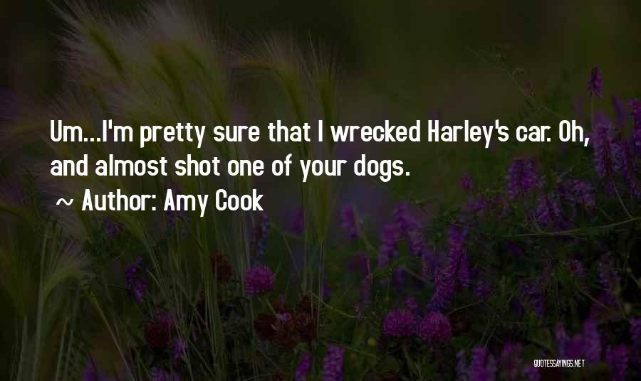 Amy Cook Quotes: Um...i'm Pretty Sure That I Wrecked Harley's Car. Oh, And Almost Shot One Of Your Dogs.