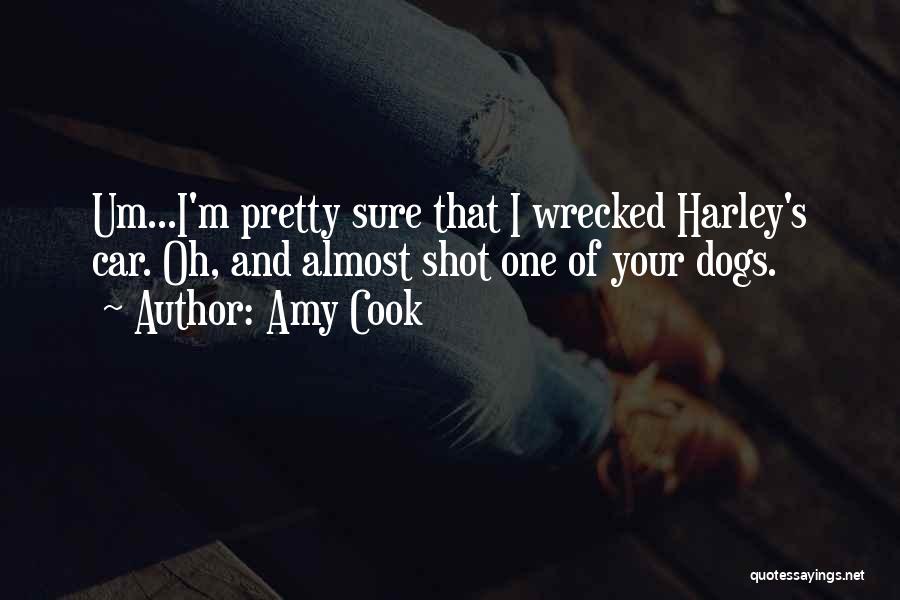 Amy Cook Quotes: Um...i'm Pretty Sure That I Wrecked Harley's Car. Oh, And Almost Shot One Of Your Dogs.