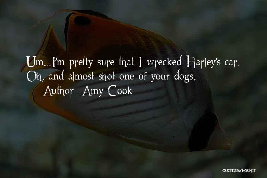 Amy Cook Quotes: Um...i'm Pretty Sure That I Wrecked Harley's Car. Oh, And Almost Shot One Of Your Dogs.