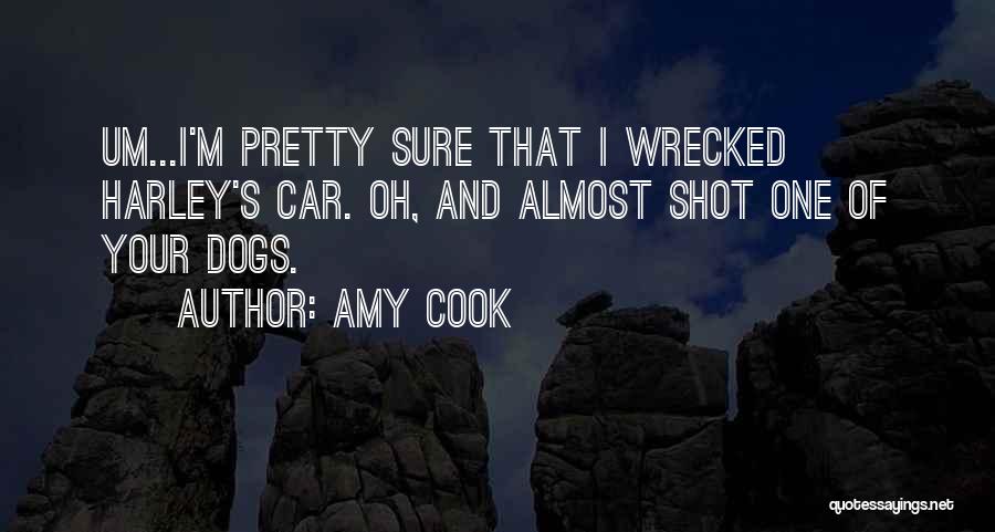 Amy Cook Quotes: Um...i'm Pretty Sure That I Wrecked Harley's Car. Oh, And Almost Shot One Of Your Dogs.