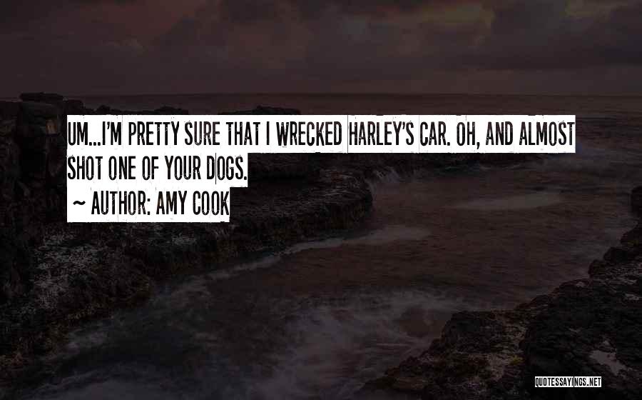 Amy Cook Quotes: Um...i'm Pretty Sure That I Wrecked Harley's Car. Oh, And Almost Shot One Of Your Dogs.