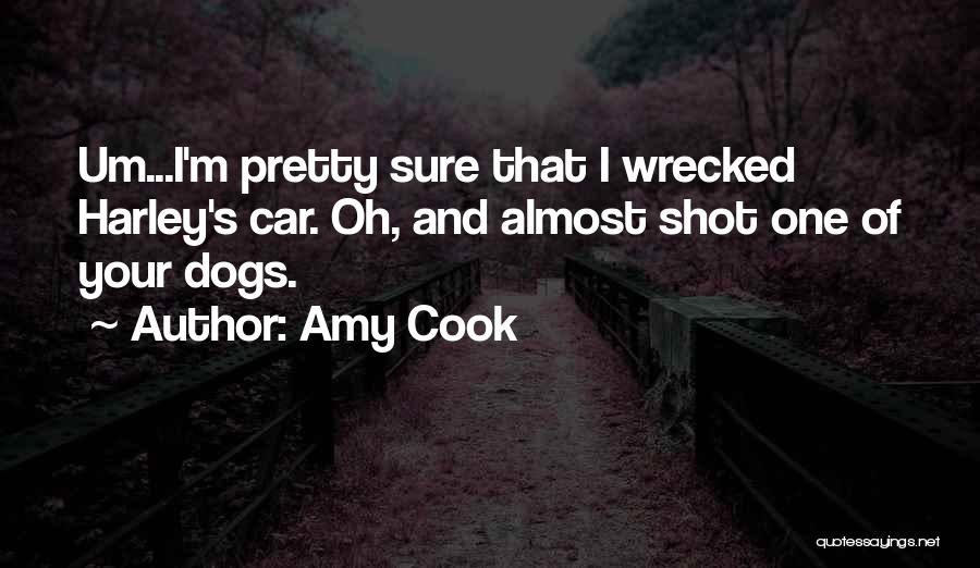 Amy Cook Quotes: Um...i'm Pretty Sure That I Wrecked Harley's Car. Oh, And Almost Shot One Of Your Dogs.
