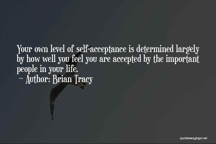 Brian Tracy Quotes: Your Own Level Of Self-acceptance Is Determined Largely By How Well You Feel You Are Accepted By The Important People