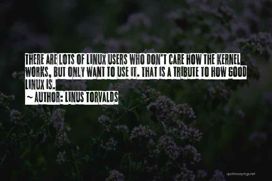 Linus Torvalds Quotes: There Are Lots Of Linux Users Who Don't Care How The Kernel Works, But Only Want To Use It. That