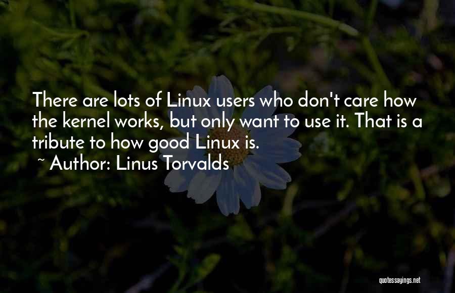 Linus Torvalds Quotes: There Are Lots Of Linux Users Who Don't Care How The Kernel Works, But Only Want To Use It. That