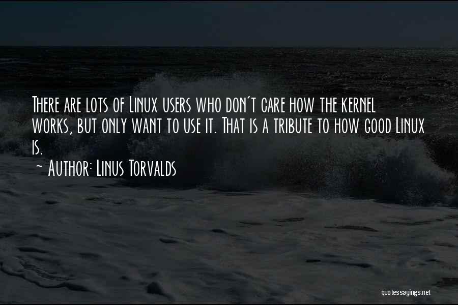 Linus Torvalds Quotes: There Are Lots Of Linux Users Who Don't Care How The Kernel Works, But Only Want To Use It. That