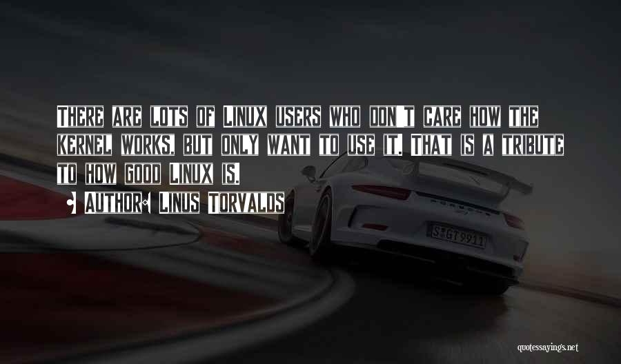 Linus Torvalds Quotes: There Are Lots Of Linux Users Who Don't Care How The Kernel Works, But Only Want To Use It. That