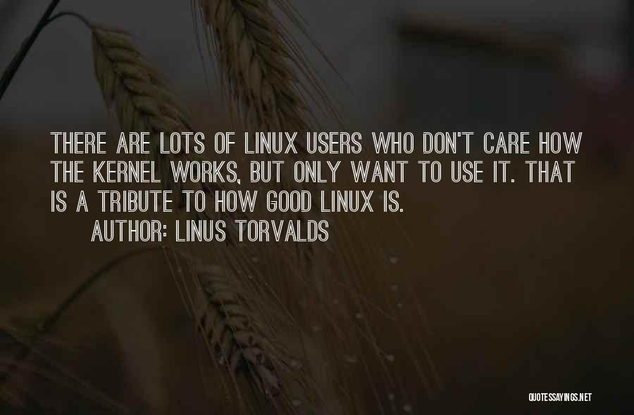 Linus Torvalds Quotes: There Are Lots Of Linux Users Who Don't Care How The Kernel Works, But Only Want To Use It. That
