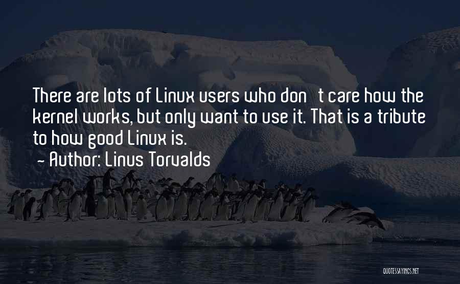 Linus Torvalds Quotes: There Are Lots Of Linux Users Who Don't Care How The Kernel Works, But Only Want To Use It. That