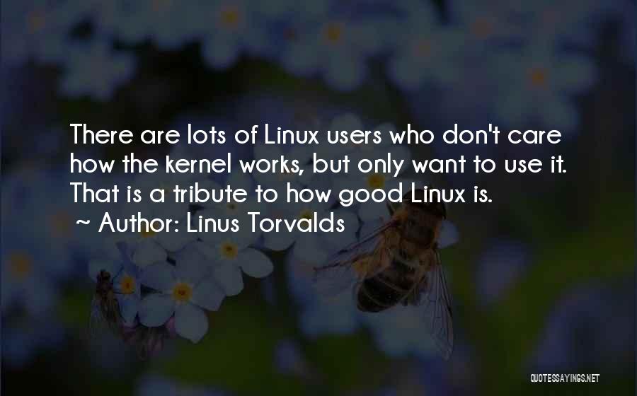Linus Torvalds Quotes: There Are Lots Of Linux Users Who Don't Care How The Kernel Works, But Only Want To Use It. That