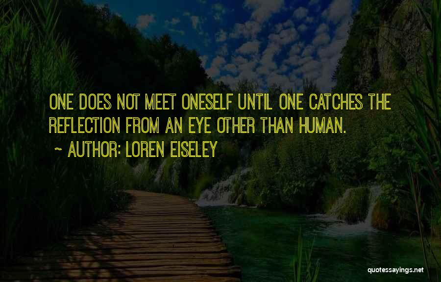 Loren Eiseley Quotes: One Does Not Meet Oneself Until One Catches The Reflection From An Eye Other Than Human.